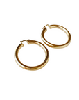 Harper Gold Filled Earrings by LUNA B