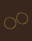 gold hoop earrings