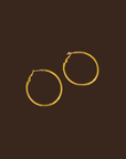 gold hoop earrings