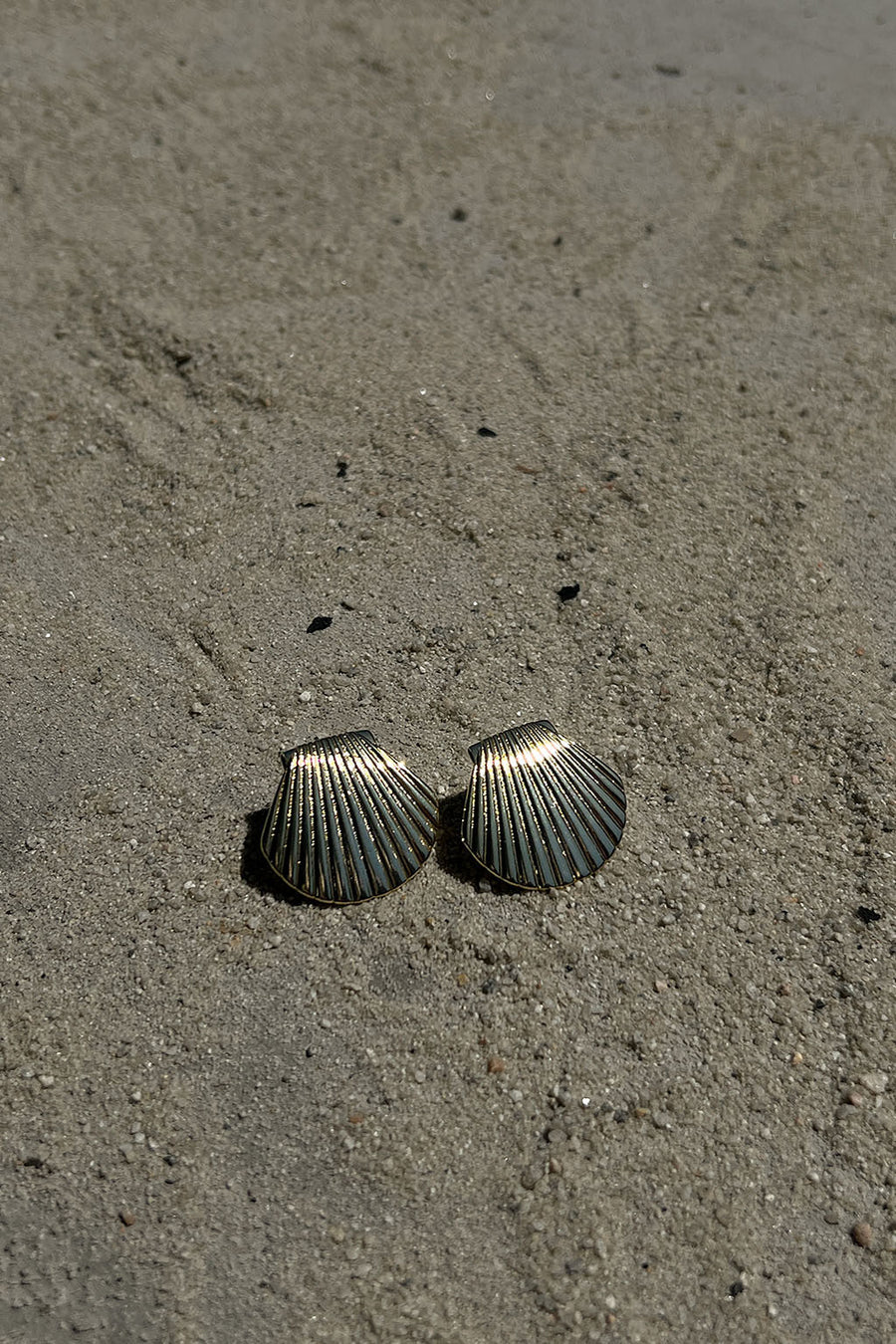 Sandshell Earrings
