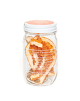 Paloma Craft Cocktail Kit - SHOPLUNAB