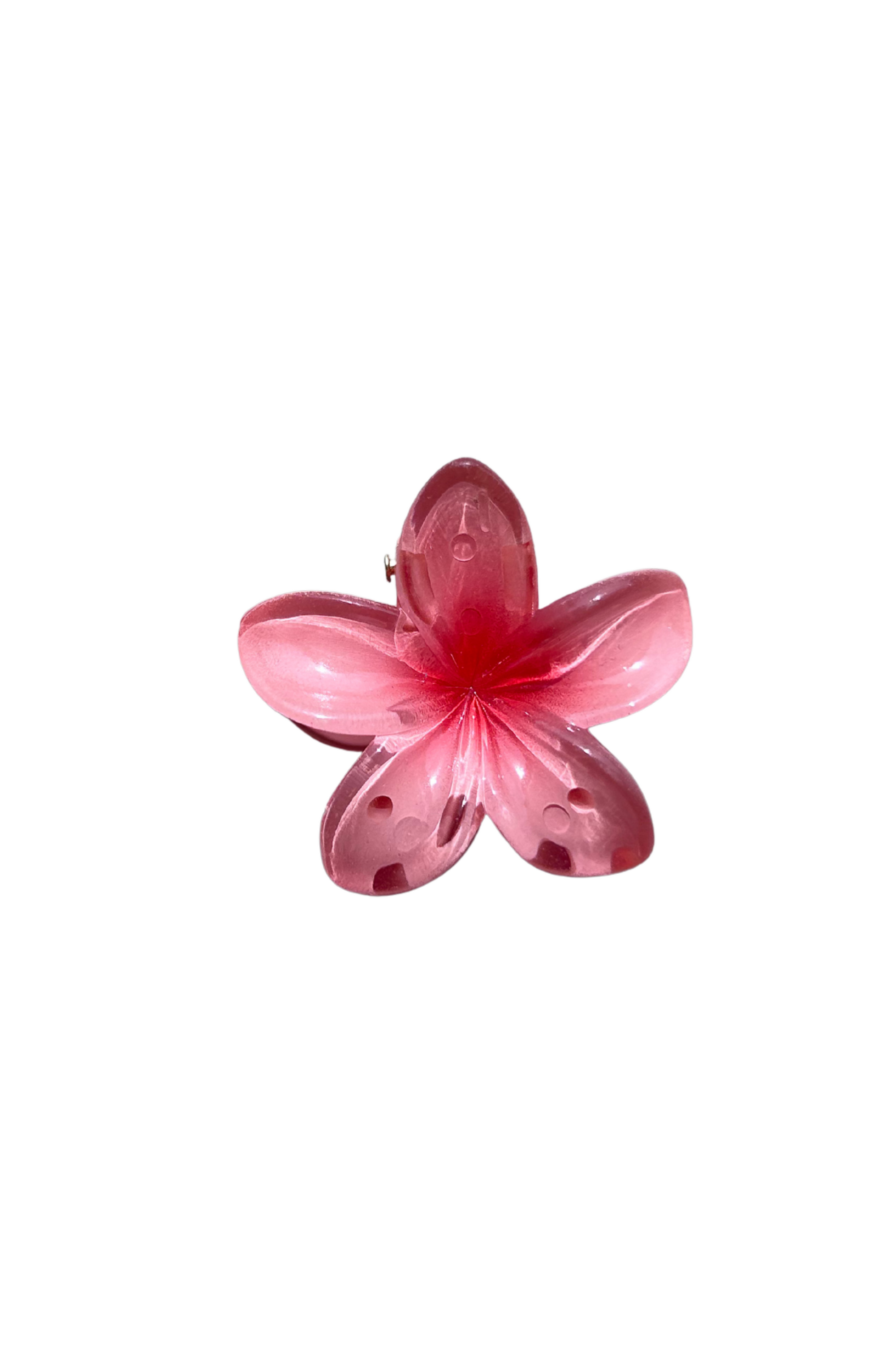 Mini Flower Clips
