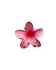 Mini Flower Clips