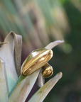 Sandy Ring