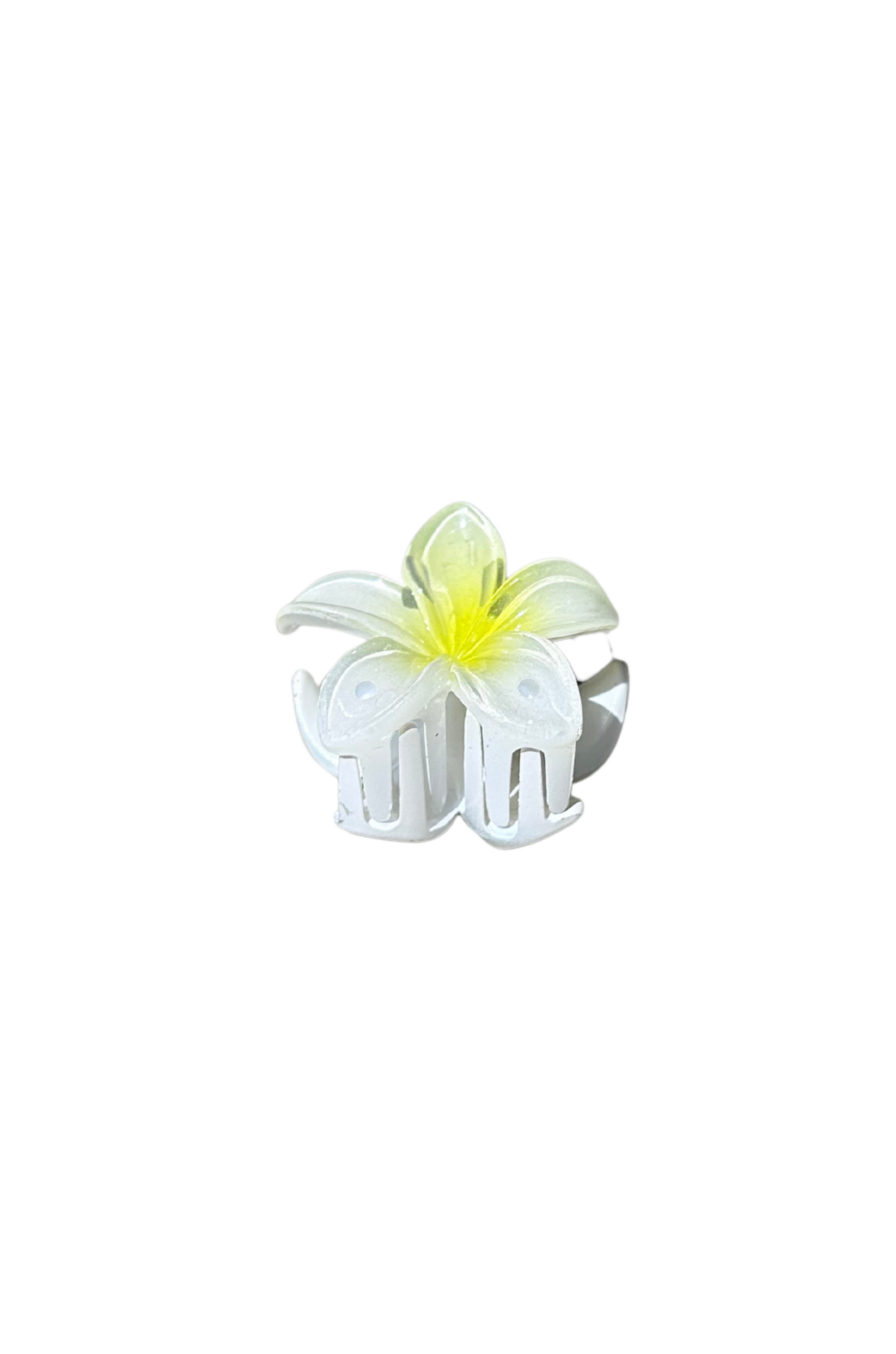 Mini Flower Clips
