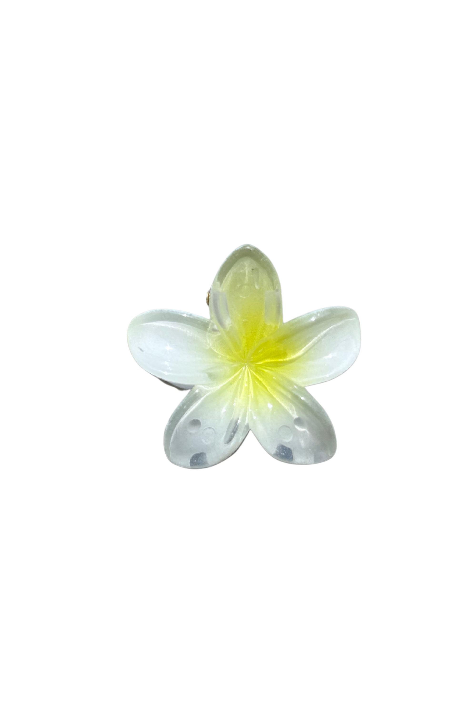 Mini Flower Clips