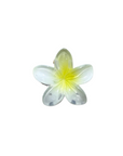 Mini Flower Clips