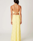 Halter neck lace maxi dress
Open back with adjustable tie closures
Adjustable neck tie
Subtle flared hem
Lace detailing throughout
Lined
yellow lace dress
butter yellow wedding guest dress
summer wedding guest dress