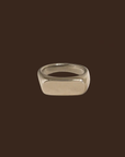 18K Gold Non-Tarnish Classic Signet Ring
18K Gold Plating
Stainless Steel
Size 7 Measurement: 0.682 Diameter/2.14 Circumference
Lead-free/Nickel-safe/Hypoallergenic/Water Resistant
silver ring