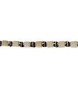 Thousand Palms Belt