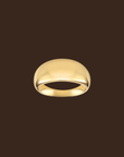 Gold ring on a dark brown background