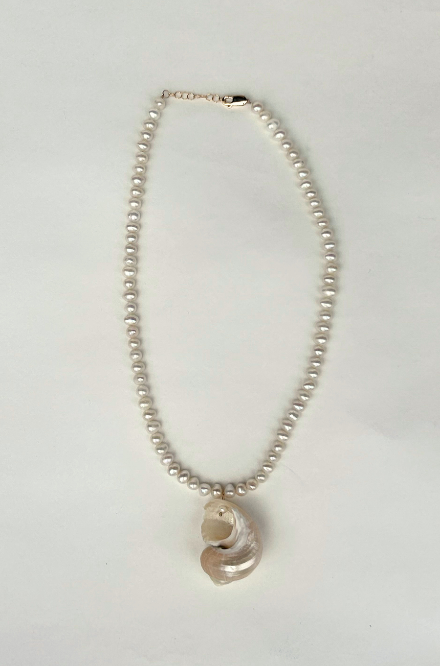 Freshwater pearls with pearlized shell charm necklace
Length: 15" chain with 1" extender
Size and shape of pearl may vary