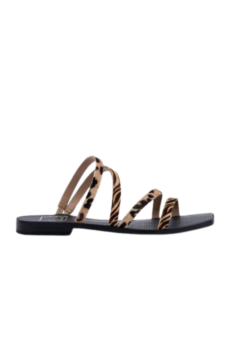 Izabel Sandal by Dolce Vita - FINAL SALE