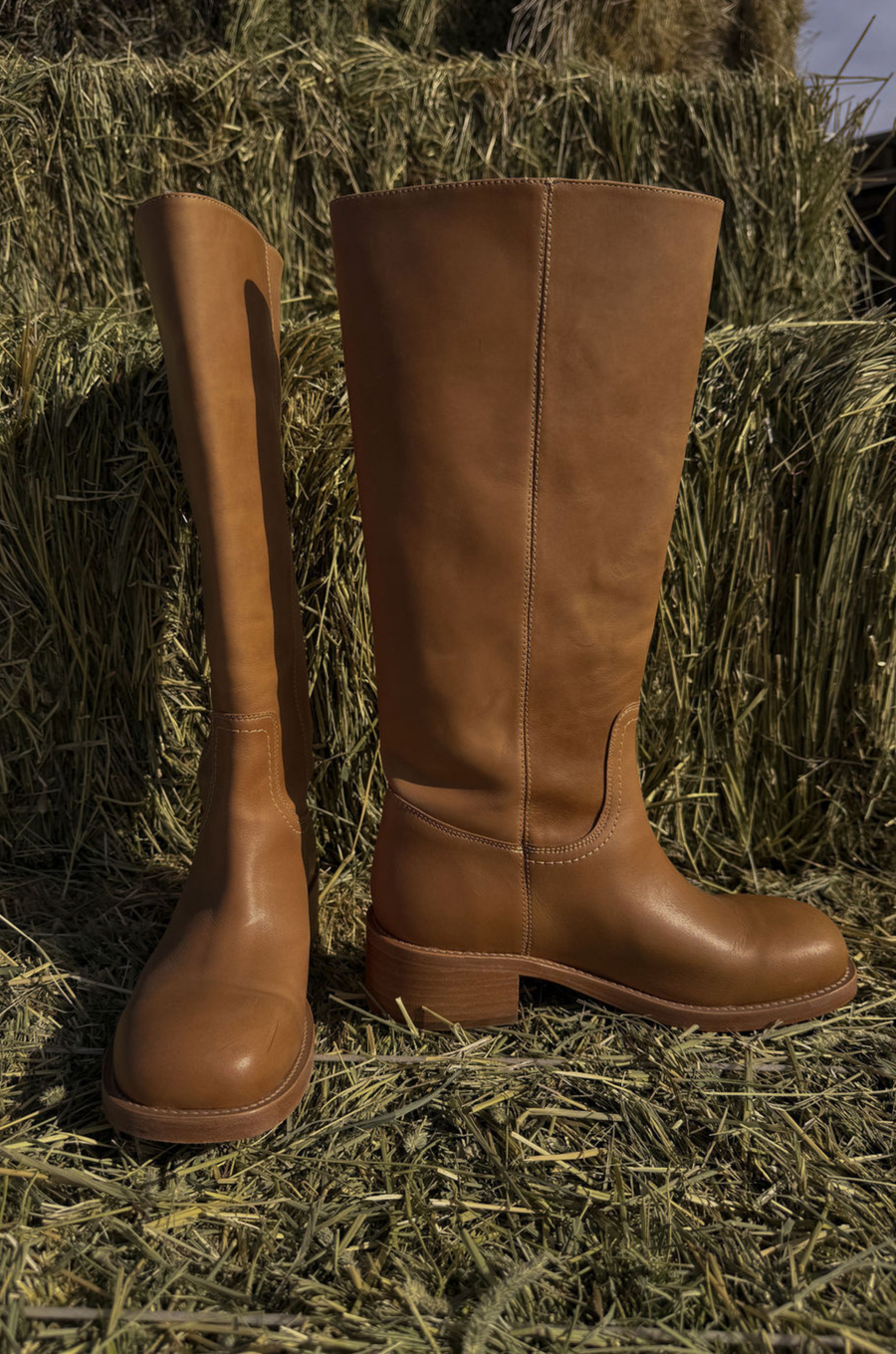 Riggs Boot By Steve Madden - FINAL SALE
