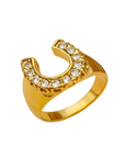 Featuring a bold horseshoe design
Studded with brilliant, sparkling crystals
Crafted from premium, tarnish-free stainless steel
Hypoallergenic nature ensures comfort and durability
gold horseshoe ring