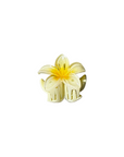 Mini Flower Clips