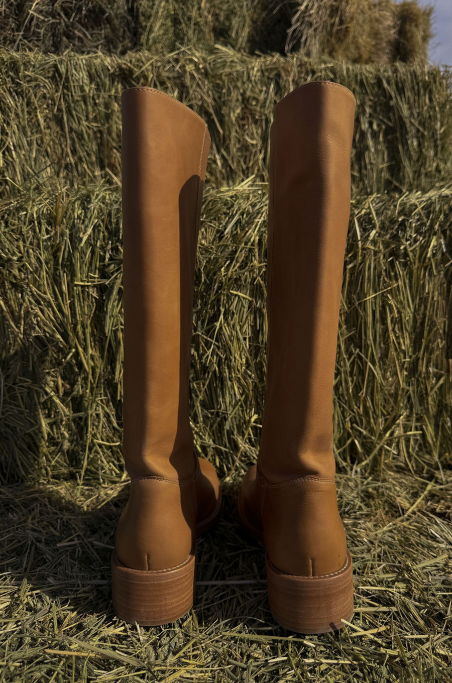 Riggs Boot By Steve Madden - FINAL SALE