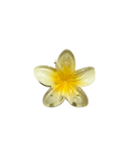 Mini Flower Clips