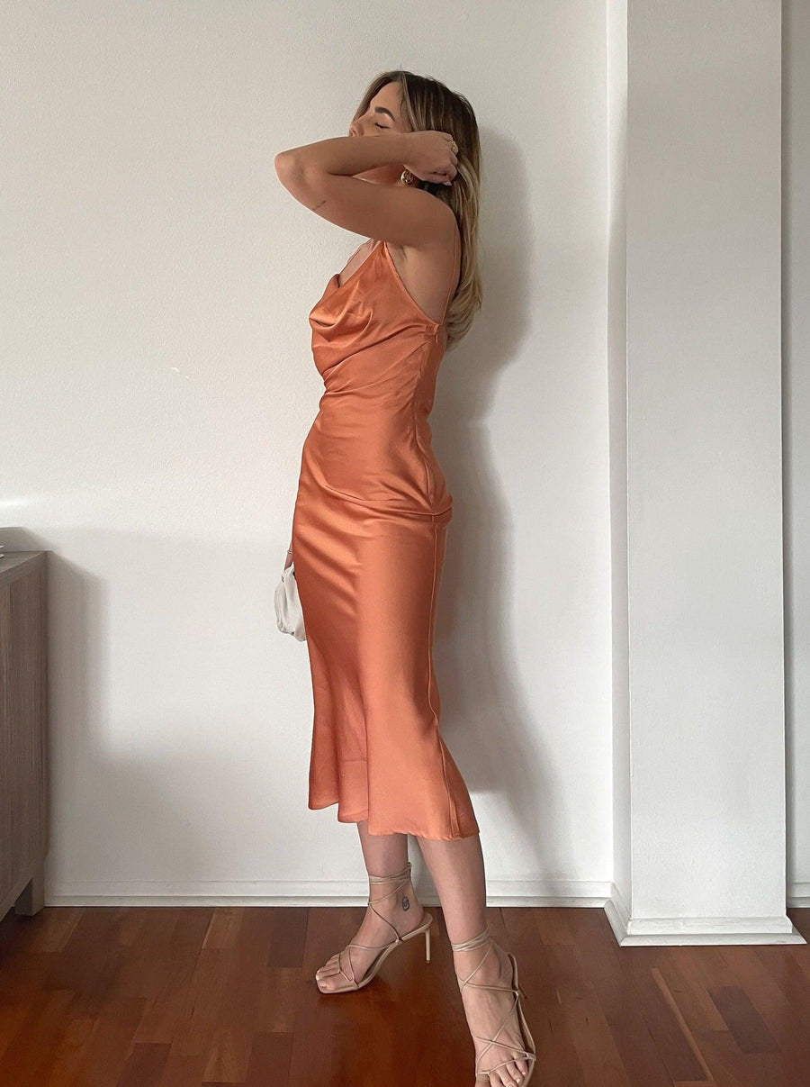 Portrait Mode Midi Dress - FINAL SALE - SHOPLUNAB