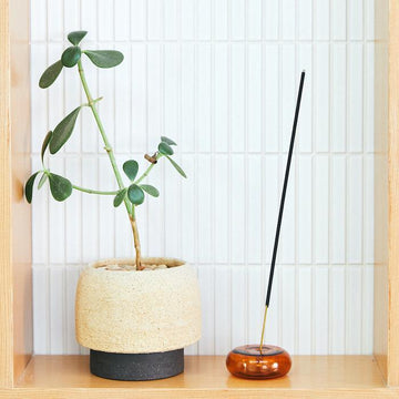 Teakwood & Tobacco Incense Sticks by P.F. Candle Co - SHOPLUNAB